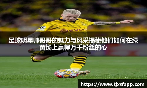 足球明星帅哥哥的魅力与风采揭秘他们如何在绿茵场上赢得万千粉丝的心