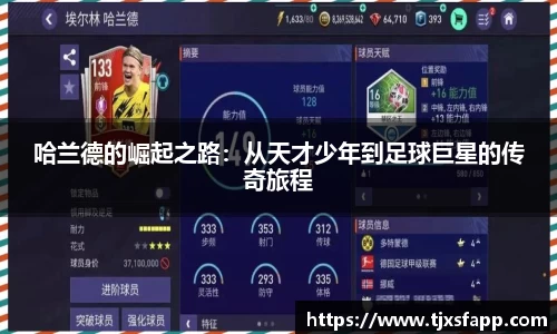 南宫大舞台官网